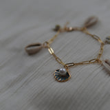 Shell Link Bracelet