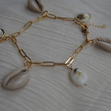 Shell Link Bracelet